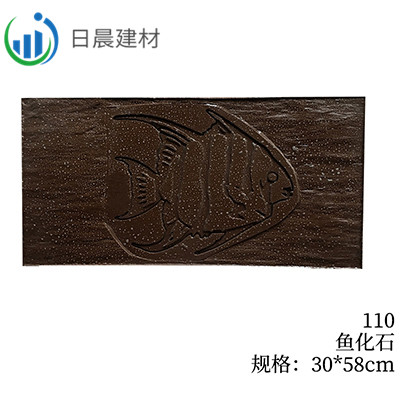 110-鱼化石